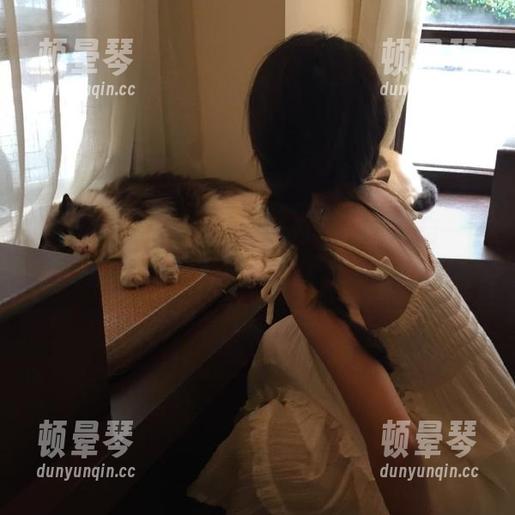 每次点开cg51官网都像开启一场生动的真人秀，等瓜吃得我心跳加速！
